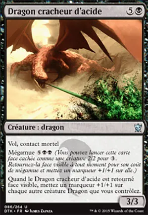 Dragon cracheur d'acide