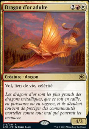 Dragon d'or adulte