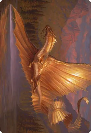 Dragon d'or adulte - Illustration