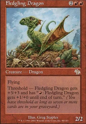 Dragon juvénile