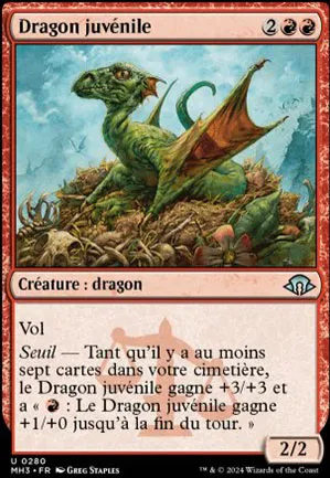 Dragon juvénile