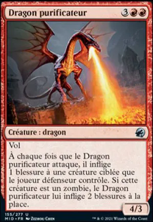 Dragon purificateur