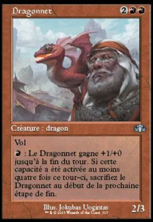 Dragonnet