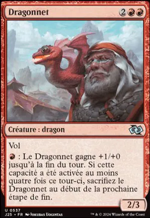 Dragonnet
