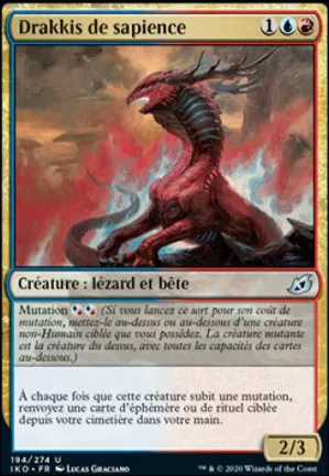 Drakkis de sapience