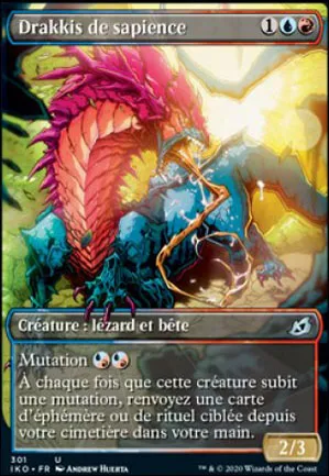 Drakkis de sapience