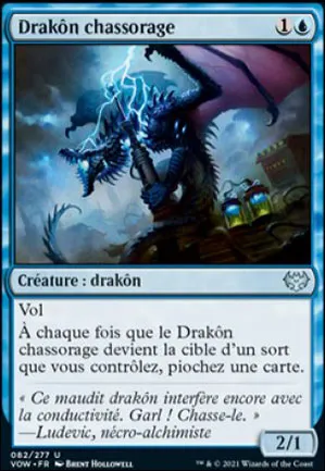 Drakôn chassorage