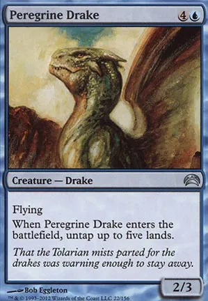 Drakôn pèlerin