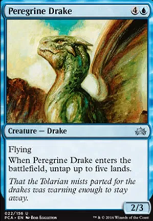 Drakôn pèlerin