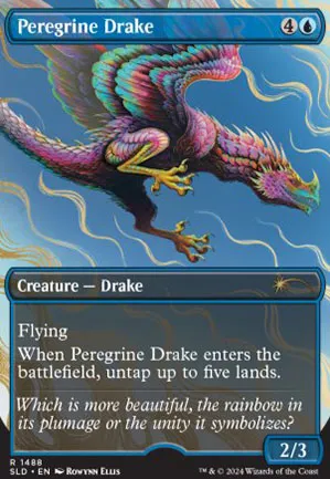 Drakôn pèlerin