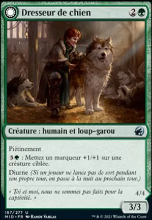 Dresseur de chien // Louveteau sauvage