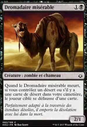 Dromadaire misérable