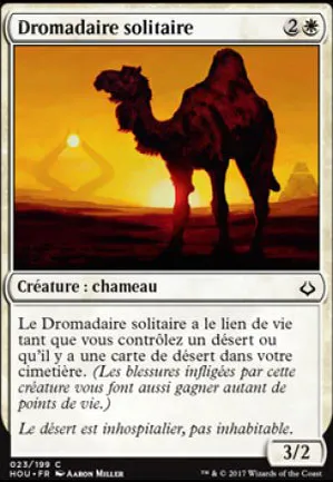 Dromadaire solitaire