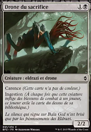 Drone du sacrifice