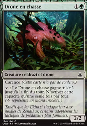 Drone en chasse
