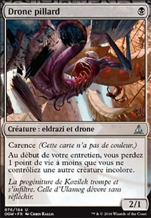 Drone pillard