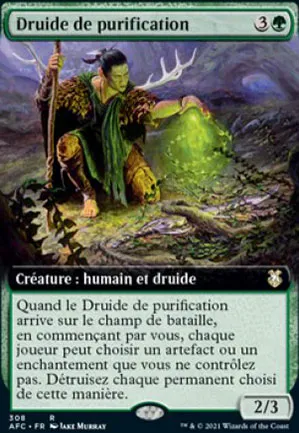 Druide de purification