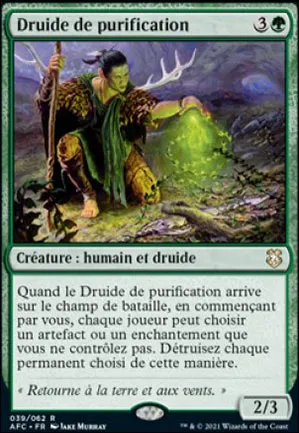 Druide de purification