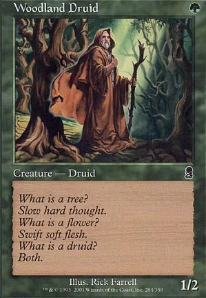 Druide des sylves