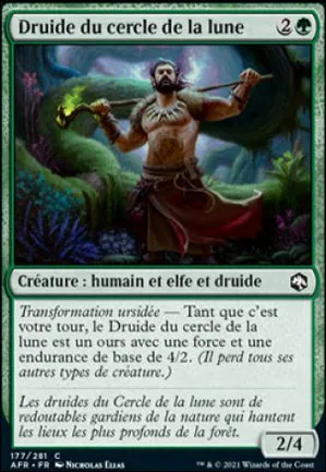 Druide du cercle de la lune