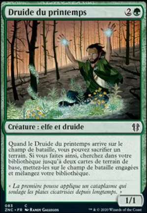 Druide du printemps