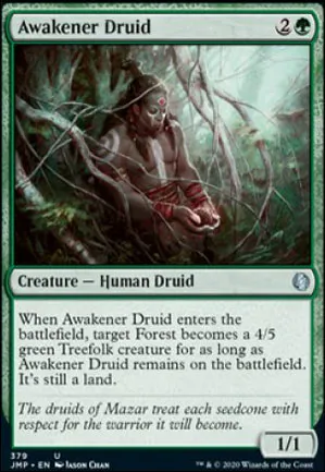 Druide éveilleur