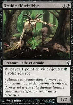 Druide flétriglèbe