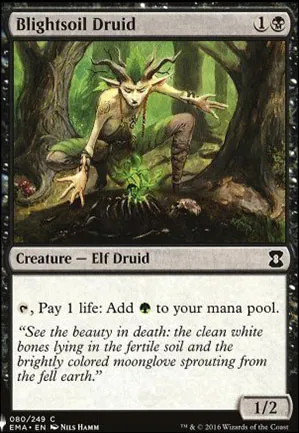 Druide flétriglèbe