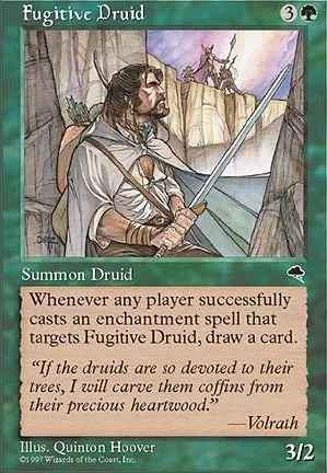 Druide fugitif