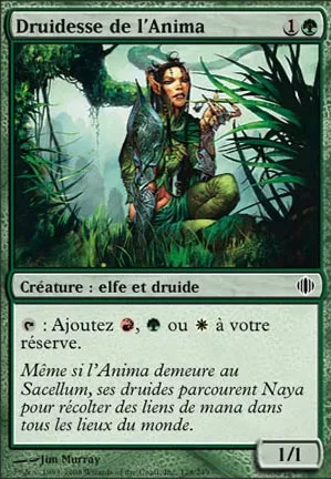 Druidesse de l'Anima