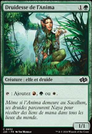 Druidesse de l'Anima