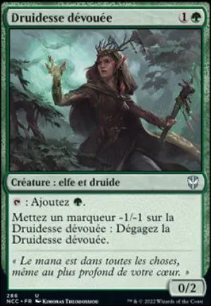 Druidesse dévouée