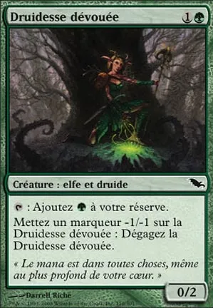 Druidesse dévouée