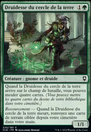 Druidesse du cercle de la terre