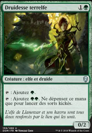 Druidesse terrelfe