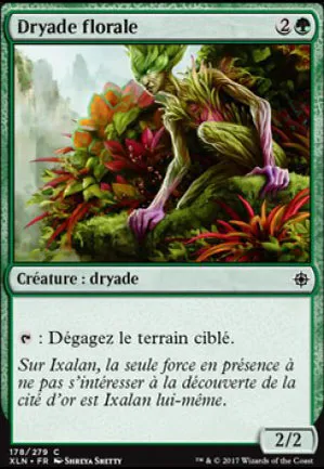 Dryade florale