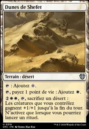 Dunes de Shefet