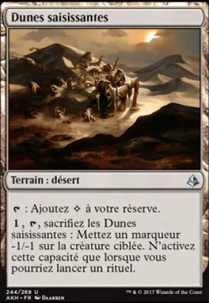 Dunes saisissantes