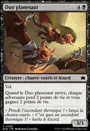 Duo planesaut