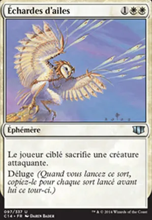 Échardes d'ailes