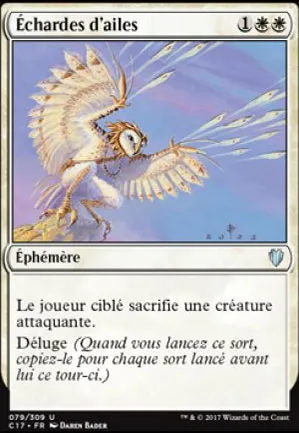 Échardes d'ailes