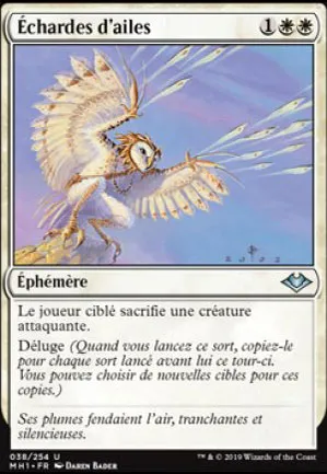 Échardes d'ailes
