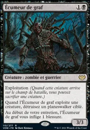 Écumeur de graf