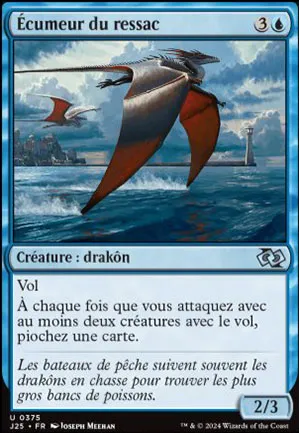 Écumeur du ressac