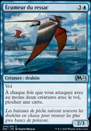 Écumeur du ressac