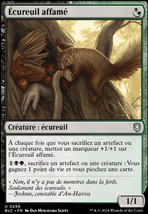 Écureuil affamé