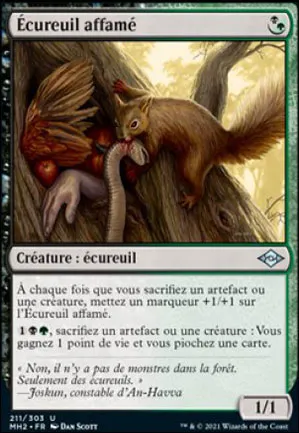 Écureuil affamé