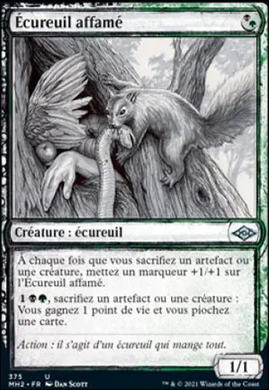 Écureuil affamé