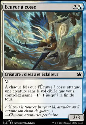 Écuyer à cosse