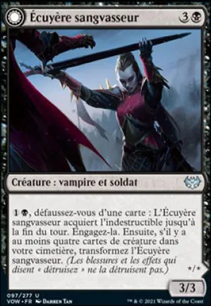 Écuyère sangvasseur // Chevalière sangvasseur